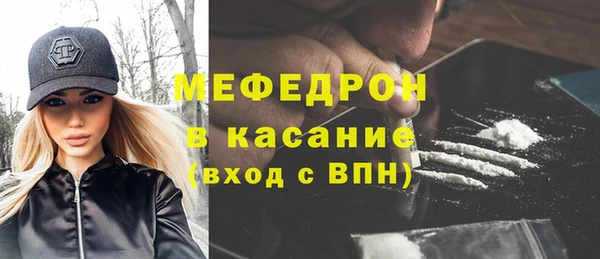 индика Богородицк