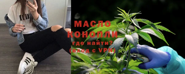 индика Богородицк