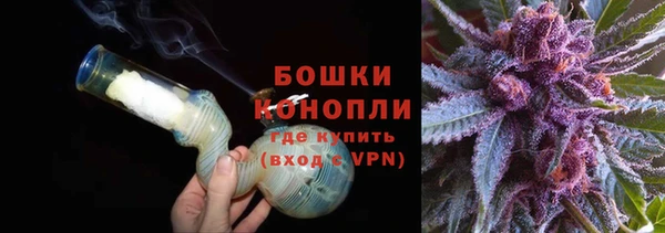 индика Богородицк