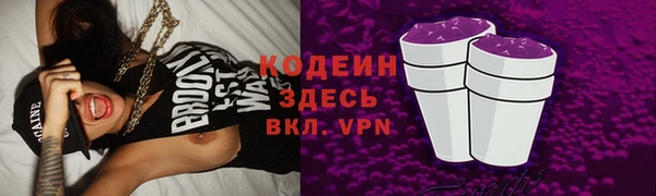 индика Богородицк