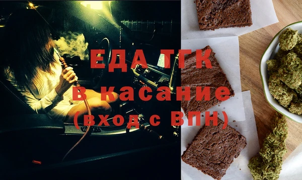 индика Богородицк