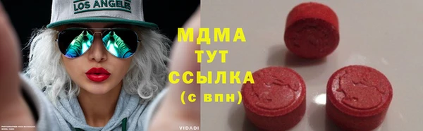 индика Богородицк