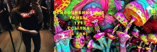 индика Богородицк