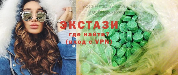 индика Богородицк